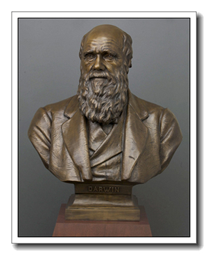 Darwin bust bronze statue